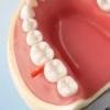 AG dental wood wedge - Image 3